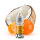 Pod Salt - X - Sweet Tangerine Coconut - Nikotinsalz Liquid - 10ml